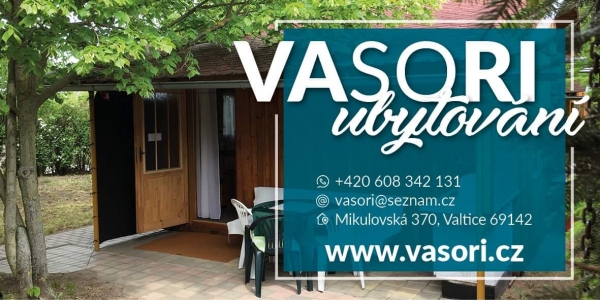 VASORI